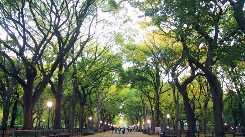 central-park-the-mall-1577-x-1200